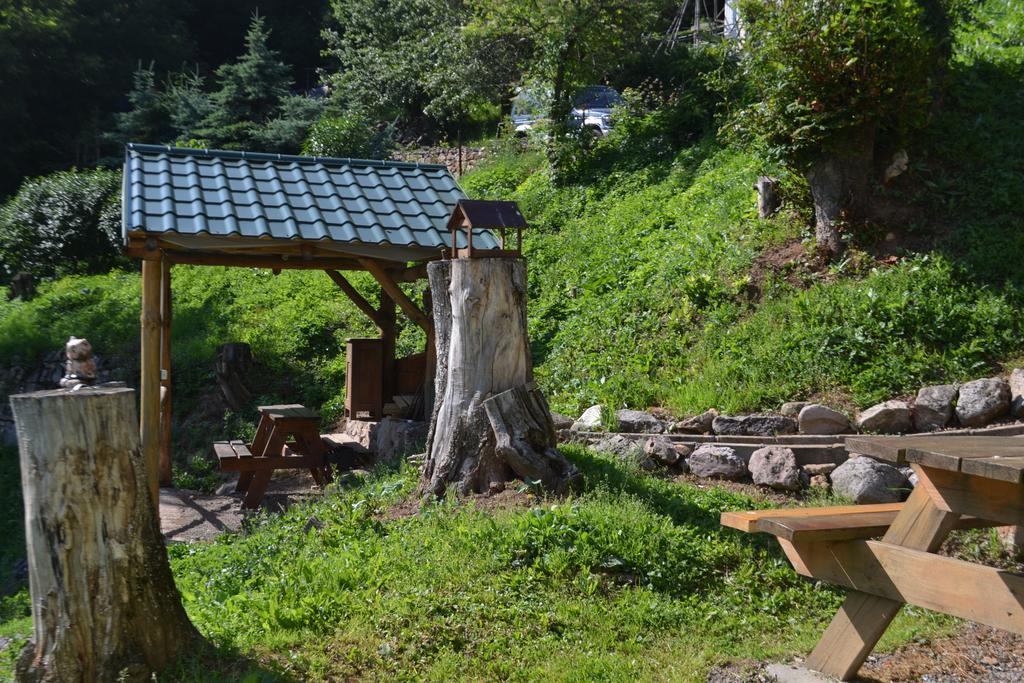Apartmany Alma 비헨 외부 사진